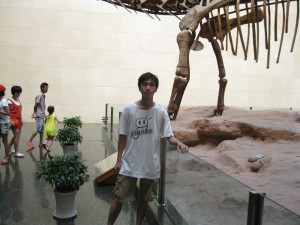 衢州，衢州博物馆，我与恐龙